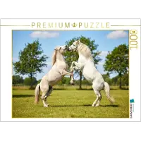 CALVENDO Puzzle Weiße Pferde beim Kräftemessen | 1000 Teile Lege-Größe 64 × 48 cm Foto-Puzzle für glückliche Stunden