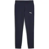Puma Teamgoal Casuals Pants Wmn navy-white (06) L