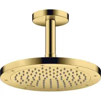 Hansgrohe Deckenanschluss Axor 100mm, rund, polished gold optic