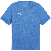 Puma Teamcup Training Jersey electro royal-silver-team royal (02) L