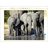 CALVENDO Puzzle Elefanten Familienglück 1000 Teile Lege-Größe 64 x 48 cm Foto-Puzzle Bild von Michael Herzog, 1000 Stück(e), andere, 14 Jahr(e)