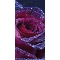 Wallario Design Wanduhr Rote Rosenblüte im Regen aus Echtglas, Größe 30 x 60 cm