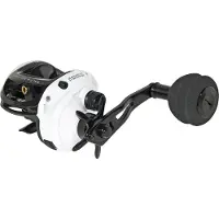Ryobi WFT Rolle Salt & Big Fish 2 Linkshandrolle Baitcastrolle