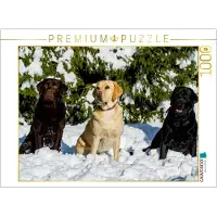 CALVENDO 4059478920903, 1000 Stück(e), Tiere, 14 Jahr(e)