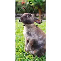 Wallario Design Wanduhr Kaninchen im Garten mit süßem Blick aus Echtglas, Größe 30 x 60 cm