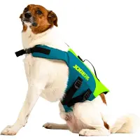 Jobe Hunde-schwimmweste