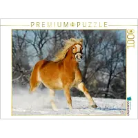 CALVENDO 4059478919655 Haflinger im Schnee 1000 Teile Lege-Größe 64 x 48 cm Foto-Puzzle Bild von Starick Sigrid, Weiß, 1000 Stück(e), andere, 14 Jahr(e)