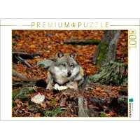 CALVENDO 4059478789432, 1000 Stück(e), Tiere, 14 Jahr(e)