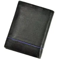 Pierre Cardin Brieftaschen ROVICKY109860, rovicky109860