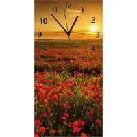 Wallario Design Wanduhr Mohnblumenwiese bei Sonnenuntergang am Abend aus Echtglas, Größe 30 x 60 cm