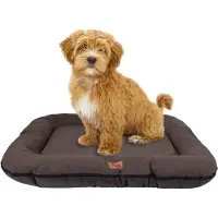BOUTIQUEZOO Hundebett - Wasserfest, Waschbar Hundematte aus Codura | In & Outdoor für große und riesige Hunde | Farbe: Braun, Größe XXL: 120 x 90 cm