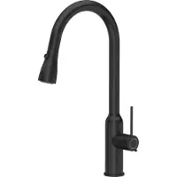 Quadron Virtuvinis maišytuvas Quadron Jessica Q LINE PullOut SteelQ stovi juoda (84818011)