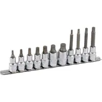 Projahn 1/2" Bit Stecknuss Satz auf Schiene 11tlg Vielzahn, 60 + 100mm