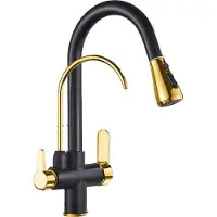 OEM Küchenarmatur, langlebige Messingkonstruktion, Dual-Handle-Betrieb, Schwarz und Gold B