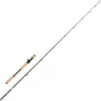 Abu Garcia Beast Pro2 Baitcastrute