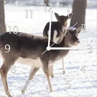 Wallario Design Wanduhr Zwei junge Elche im Schnee in Arizona - Amerika aus Echtglas, Größe 30 x 30 cm