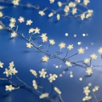 Kaemingk Lumineo Lichterkette Cluster Sterne 120 LED warmweiß außen 3 m silber