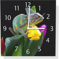 Wallario Design Wanduhr Chamäleon im Blütenmeer aus Aluverbund, Größe 30 x 30 cm