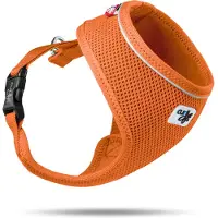 Curli Air-Mesh Geschirr Orange S, Basic Harness, Hundegeschirr, Haustier Zubehör