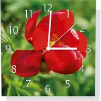 Wallario Design Wanduhr Wilde rote Pfingstrose in Nahaufnahme aus Aluverbund, Größe 30 x 30 cm