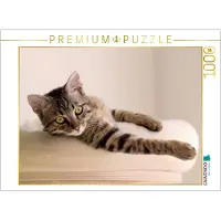 CALVENDO Puzzle Katerchen Bud 1000 Teile Lege-Größe 64 x 48 cm Foto-Puzzle Bild von Jane B, 1000 Stück(e), andere, 14 Jahr(e)