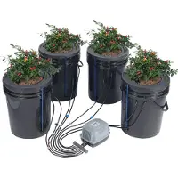 Vevor DWC Hydroponics Grow System, Hydroponisches Anbausystem mit Top-Drip-Kit, Deep Water Culture 5-Gallonen-4-Eimer, mit Luftpumpe, Luftsteinen und Wasserstandsanzeige für Blattgemüse
