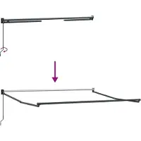 vidaXL Ausziehbare Markise Schwarz 300 x 250 x 165 cm