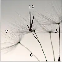 ARTland Wanduhr auf Alu Quarzuhr - schwarzer Zeiger Pusteblumen-Samen I Größe: 30x30 cm