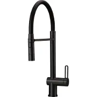 Deante Kitchen tap with flexible spout