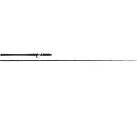 Westin W2 Monsterstick T Baitcastrute