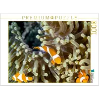 CALVENDO Falscher Clown - Anemonenfisch 1000 Teile Puzzle Quer, 1000 Stück(e), andere, 14 Jahr(e)