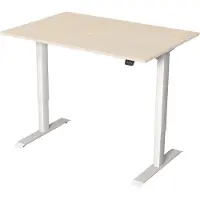 Kerkmann Büromöbelfabrik Kerkmann Move 1 elektrisch höhenverstellbarer Schreibtisch ahorn rechteckig, T-Fuß-Gestell weiß 120,0 x 80,0 cm