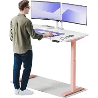 Desktronic HomeOne Elektrisch höhenverstellbarer Schreibtisch 140x70cm Rosa/Weiß mit Memory-Funktion, Anti-Kollisions Technologie, USB-A und USB-C-Ladeanschlüssen