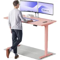 Desktronic HomePro Elektrisch höhenverstellbarer Schreibtisch 160x80cm Rosa/Rosa mit Memory-Funktion, Anti-Kollisions Technologie, USB-A und USB-C-Ladeanschlüssen