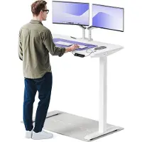 Desktronic HomeOne Elektrisch höhenverstellbarer Schreibtisch 120x60cm Weiß/Weiß mit Memory-Funktion, Anti-Kollisions Technologie, USB-A und USB-C-Ladeanschlüssen