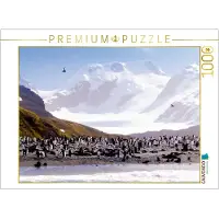 CALVENDO 4059478931992 Pinguin Kolonie im Naturparadies Antarktis 1000 Teile Lege-Größe 64 x 48 cm Foto-Puzzle Bild von Steinwald Max, Weiß, 1000 Stück(e), andere, 14 Jahr(e)