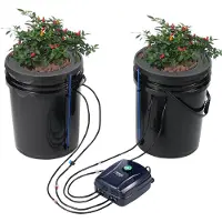Vevor DWC Hydroponics Grow System, Hydroponisches Anbausystem mit Top-Drip-Kit, Deep Water Culture 2 5-Gallonen-Eimer, mit Luftpumpe, Luftsteinen und Wasserstandsanzeige für Blattgemüse