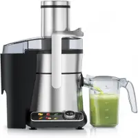 Arendo Entsafter Juicer 1000 W für Obst und Gemüse, Saftpresse, 85 mm XXL-Einfüllschacht, 6 Programme, 1 l Saftkanne, 2 l Tresterbehälter, BPA-frei, Edelstahl