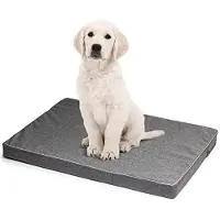 BOUTIQUEZOO BOUTIQUE ZOO Hundematratze für Hunde | L: 100 x 75 x 6 cm | Hundesofa Hundekissen Hundematte für groß und klein | Codurastoff | Elegant | Waschbar | Farbe: Grau
