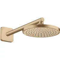 Hansgrohe Kopfbrause EcoSmart Axor Deck.- o Wd, 220mm, 1j, brush. bron