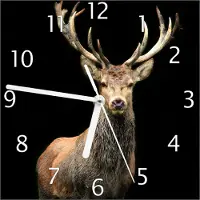 Wallario Design Wanduhr Stattlicher Rothirsch aus Echtglas, Größe 20 x 20 cm