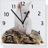 Wallario Design Wanduhr Katze auf Schildkröten aus Aluverbund, Größe 30 x 30 cm