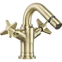 Lomadox Bidet-Armatur Messing TEMISTO-30 - B/H/T: 17,2/15/15 cm