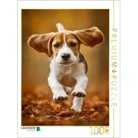 CALVENDO Puzzle Ein Motiv aus dem Kalender Best Friends Forever | 1000 Teile Lege-Größe 64 × 48 cm Foto-Puzzle für glückliche Stunden