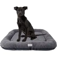 BOUTIQUEZOO Hundebett - Wasserfest, Waschbar Hundematte aus Codura | In & Outdoor für große und riesige Hunde | Farbe: Graphit, Größe XXL: 120 x 90 cm