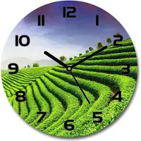 Tulup Wanduhr aus Glas 30fi Glasbild Glasuhr Gehärtetes Glas - schwarze-zeiger - Tea plantation