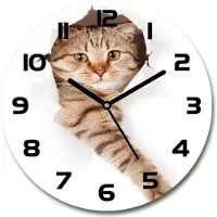 Tulup Wanduhr aus Glas 30fi Glasbild Glasuhr Gehärtetes Glas - schwarze-zeiger - Cat