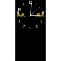 Wallario Design Wanduhr bedruckt, Größe 30 x 60 cm, Motiv: Gelbe Katzenaugen bei Nacht