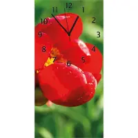 Wallario Design Wanduhr Wilde rote Pfingstrose in Nahaufnahme aus Echtglas, Größe 30 x 60 cm