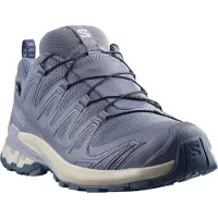 Salomon Damen Trailrunningschuhe SHOES XA PRO 3D V9 GTX W Grisai/Tradewin